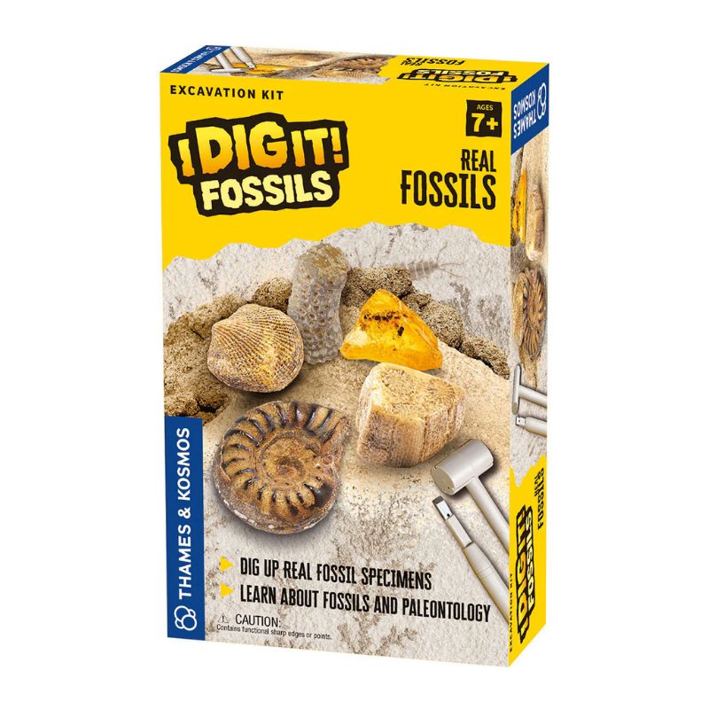 I Dig It Real Fossils Excavation Kit.jpg