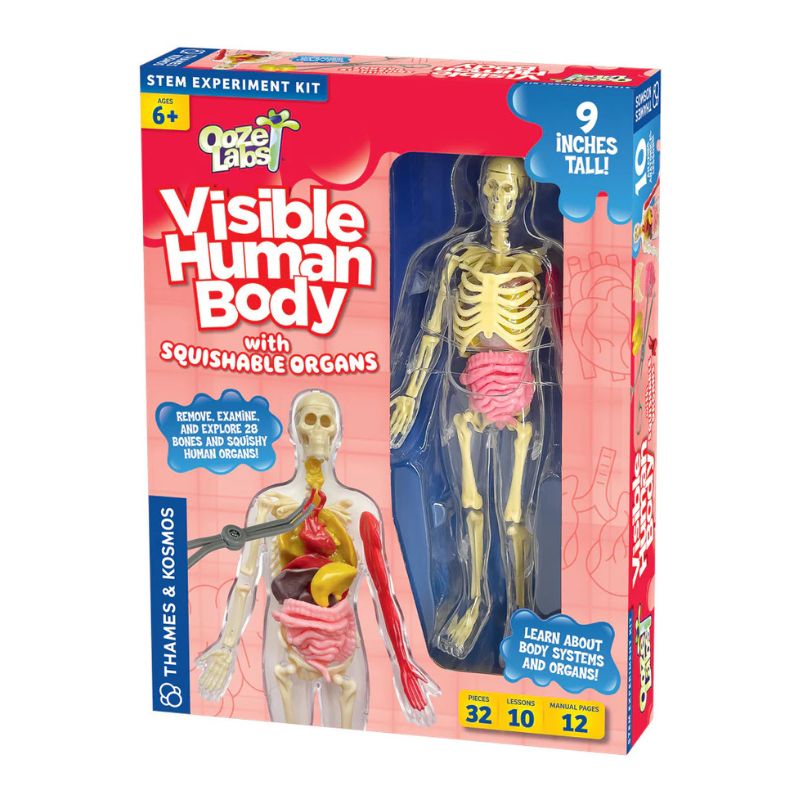 Ooze Labs Visible Human Body.jpg